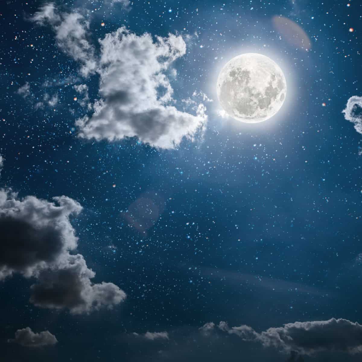 Moonlight over a garden