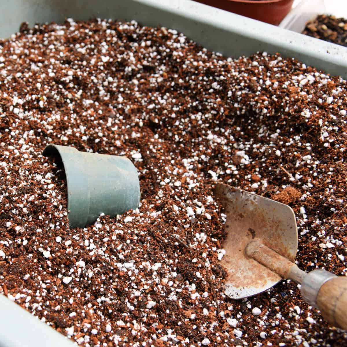 homemade potting soil in a container with a 4 inch green plastic pot semi submerged and a metal trowel in the soil