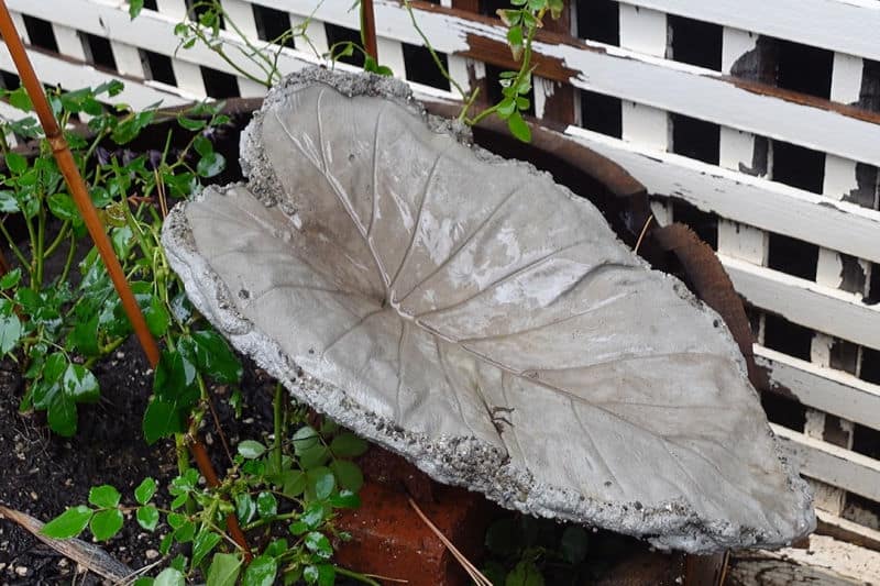 leaf birdbath for moonlight garden