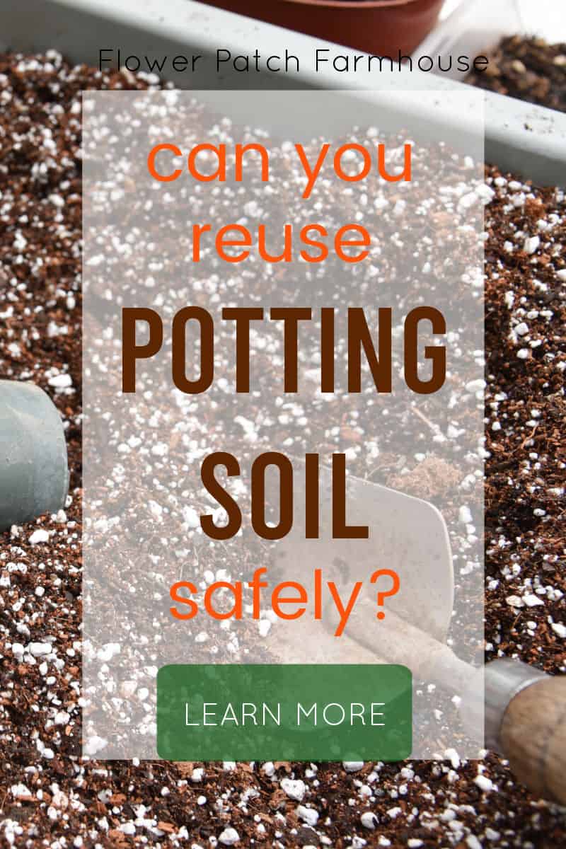 Can you Reuse Potting Soil? Flower Patch Farmhouse