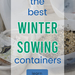 winter sowing containers with text overlay, the best winter sowing containers, learn more, Flower Patch Farmhouse