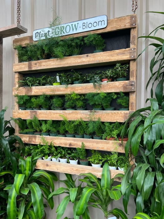 vertical living wall garden pallet style