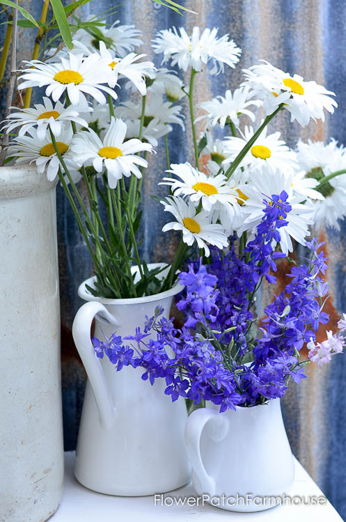 Cut flower gardening, bouquet of daisies and larkspur in white pitcher containers