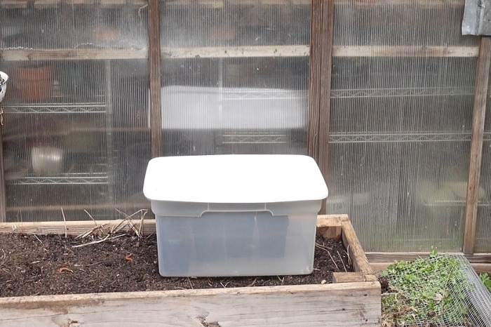sterlite plastic tub used as a propagation box sitting on raised bed