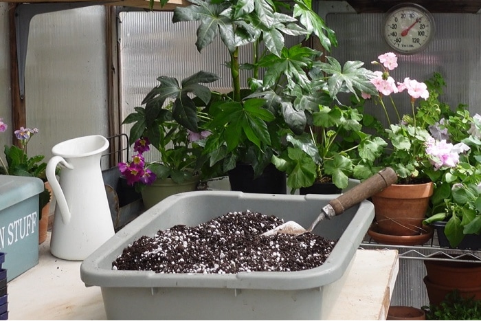 potting soil mixed with perlite for propagation box