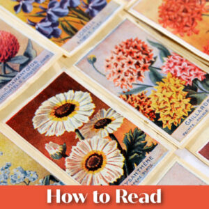 How to Read Seed Packets, vintage seed packets with text overlay