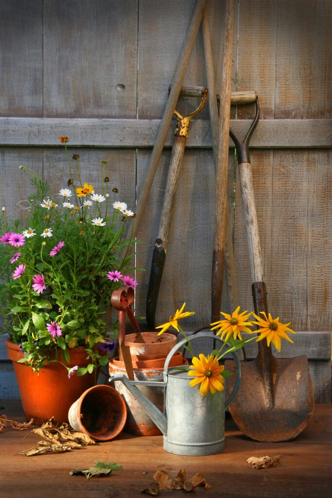 Garden shed with tools and flower pots, flower patch farmhouse dot com