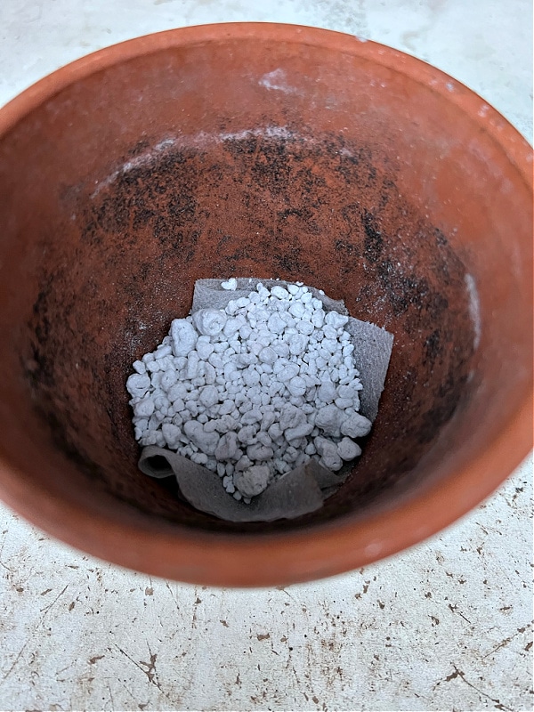 perlite in bottom of terra cotta pot