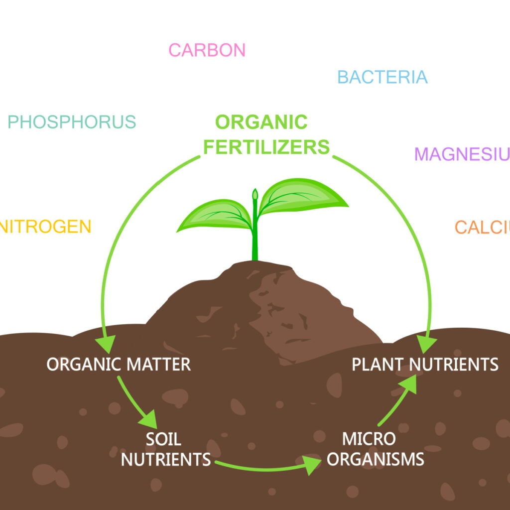 info graphic on feeding soil instead of plants