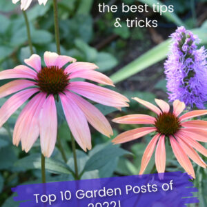 echinacea and liatris with text overlay, the best tips and tricks, top ten garden posts of 2022, flower patch farmhouse dot com