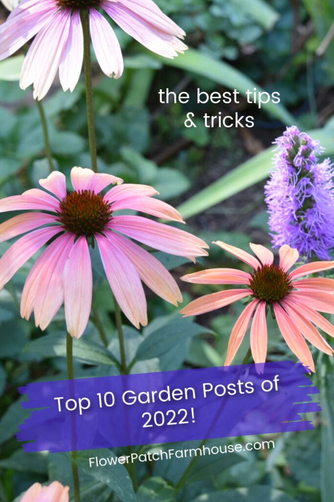 echinacea and liatris with text overlay, the best tips and tricks, top ten garden posts of 2022, flower patch farmhouse dot com