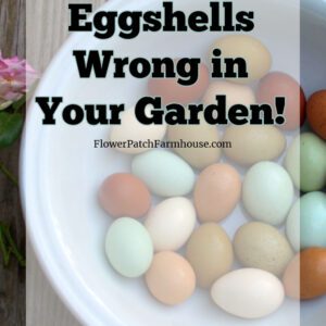 white bowl of different color eggs with text overlay that reads: stop using eggshells wrong in your garden, flower patch farmhouse dot com, discover the factgs
