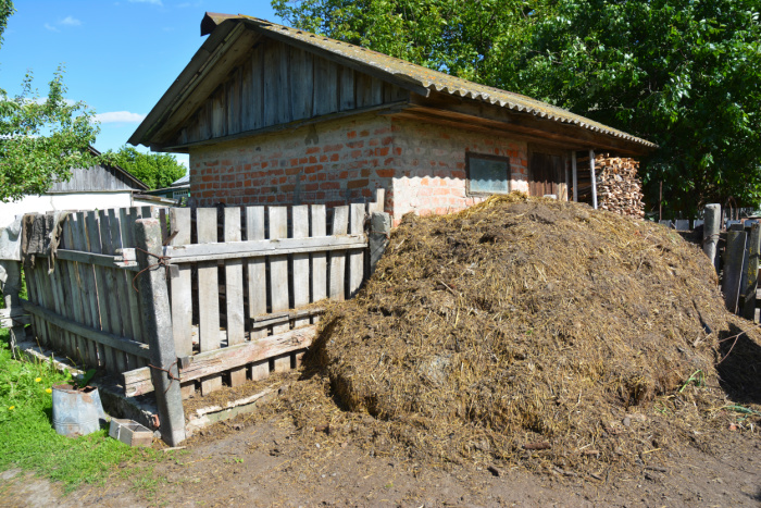 Cow manure stacked behind building