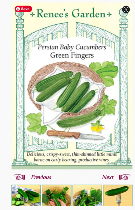 seed packet image from seed catalog for persian baby cucumbers, green fingers