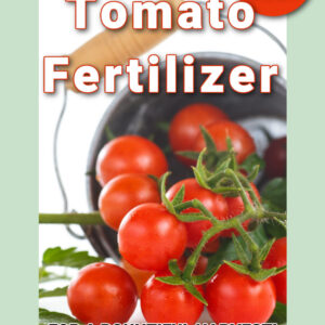 red tomatoes spilling from a galvanized bucket on a white background. Text overlay reads: Pam's Flower Patch, the best tomato fertilizer for a bountiful harvest, press here to discover how easy it can be