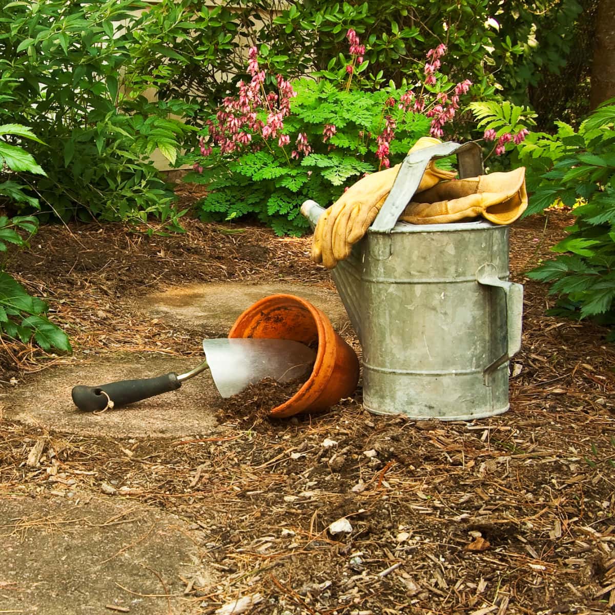 Garden Mulch