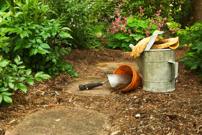 stepping stone path surrounded with garden mulch, with gloves, watering can, trowel and terra cotta pot