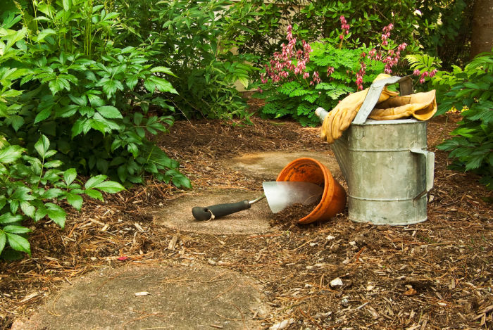 https://www.flowerpatchfarmhouse.com/wp-content/uploads/2023/05/garden-mulch-patway-with-watering-can-gloves-and-garden-trowel.jpg