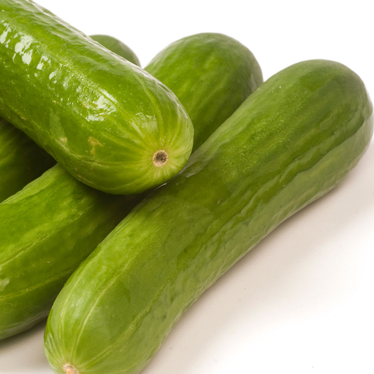 persian mini cucumbers f