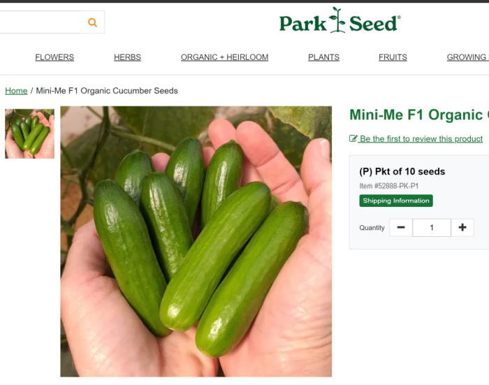 photo from seed catalog of mini me cucumbers