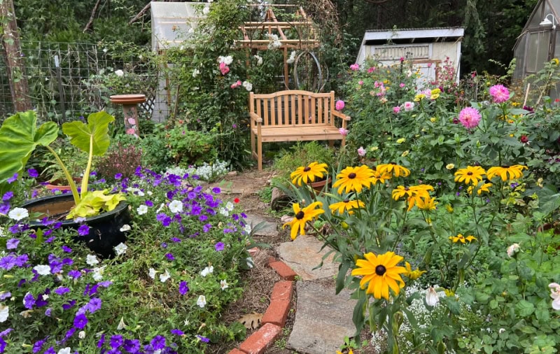 path to a bench in a cottage garden filled with flowers blooming