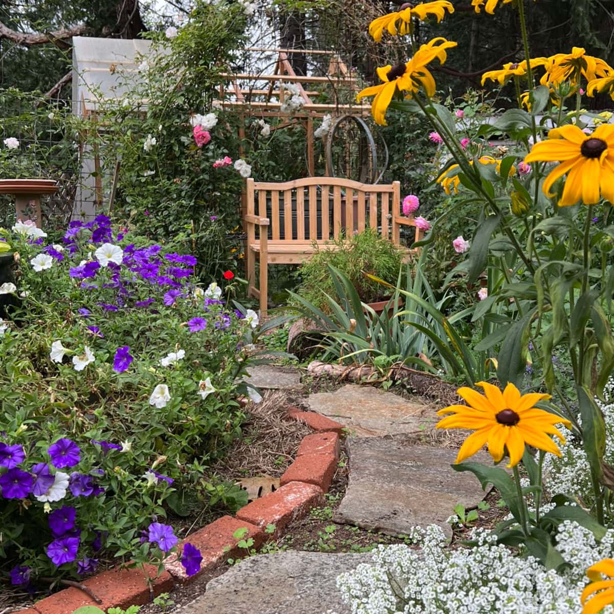bench at the end of a cottage garden path in Flower Patch Farmhouse cottage gardens