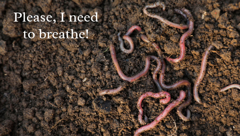 earthworms on top of soil with caption that reads: please I need to breathe!