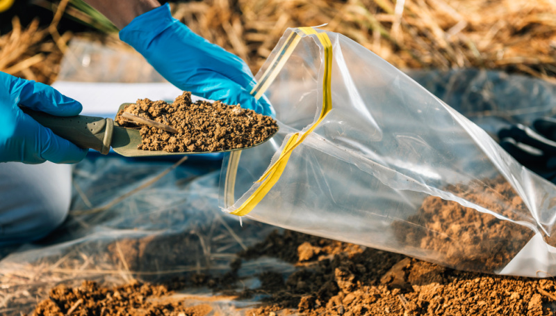 Soil Test. Agronomist putting soil with garden shovel in soil sample bag outdoor. Environmental research