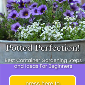 container gardens, purple calibrachoa with white allysum planted in a galvanized tub container with text overlay: Potted Perfection! Best Container Gardening Steps and Ideas for Beginners, yellow button with text: press here to learn more, Flower Patch Farmhouse dot com