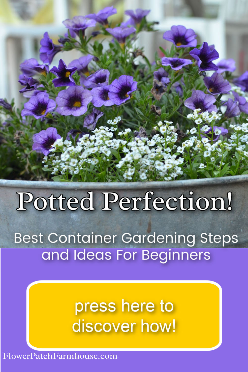 Gorgeous Container Gardening Tips and Ideas! - Flower Patch Farmhouse