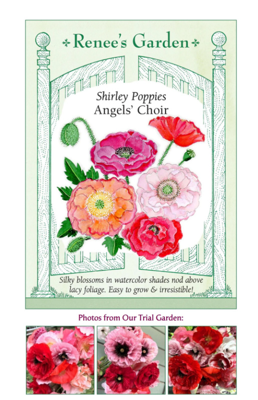 seed packet image of Angels Choir Shirly Poppies from Renees Garden Seeds