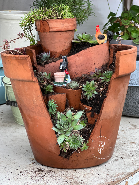 a broken terra cotta pot planted with succulents and sedums, it includes small fairy garden elements like a water pump and rooster setting among the planting, succulent fairy garden