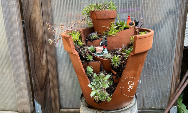 succulent minature garden in a terra cotta pot sitting on a bucket in front of a greenhouse, flower patch farmhouse dot com