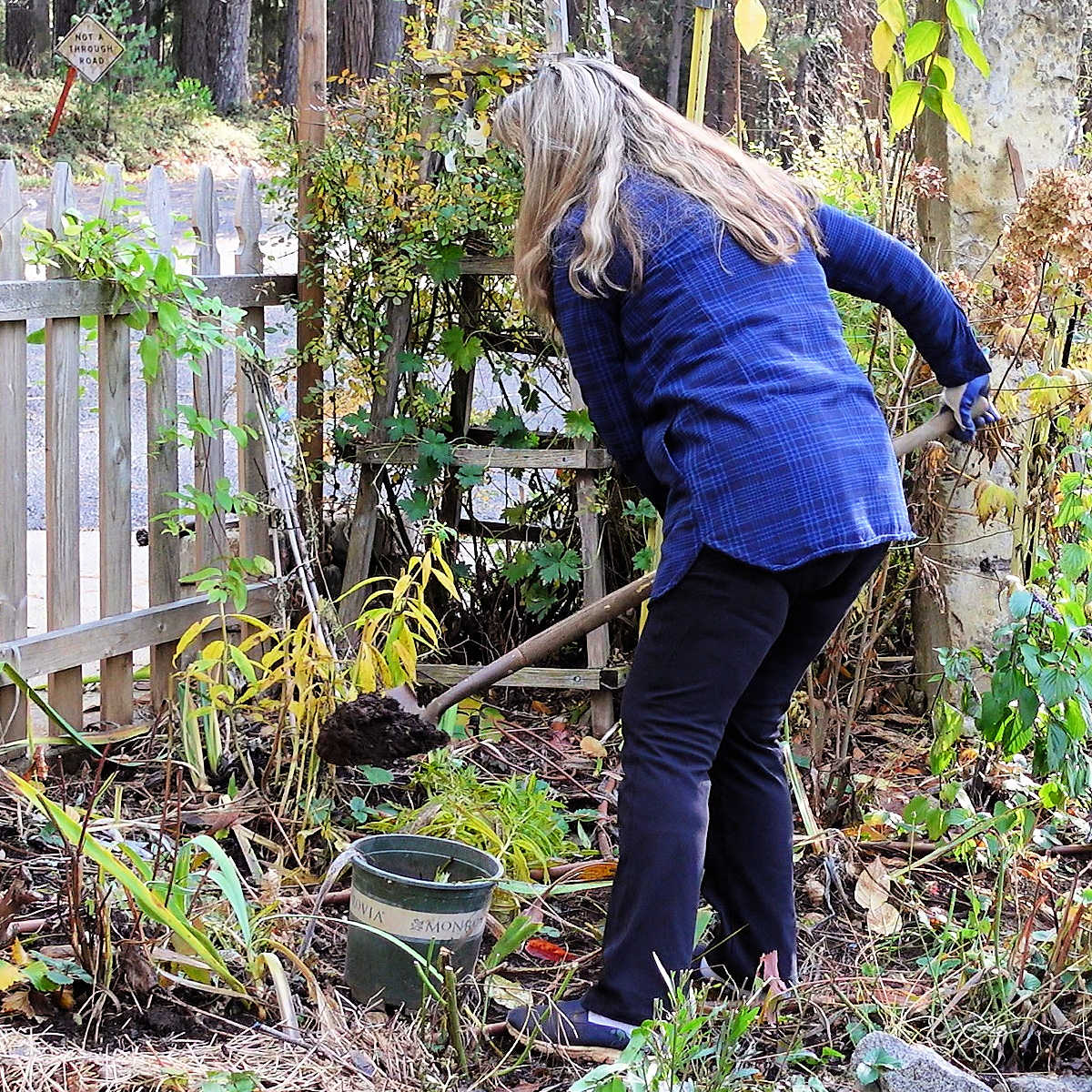 Pamela of Flower Patch Farmhouse digging a hole in her garden. Soil amendment myth