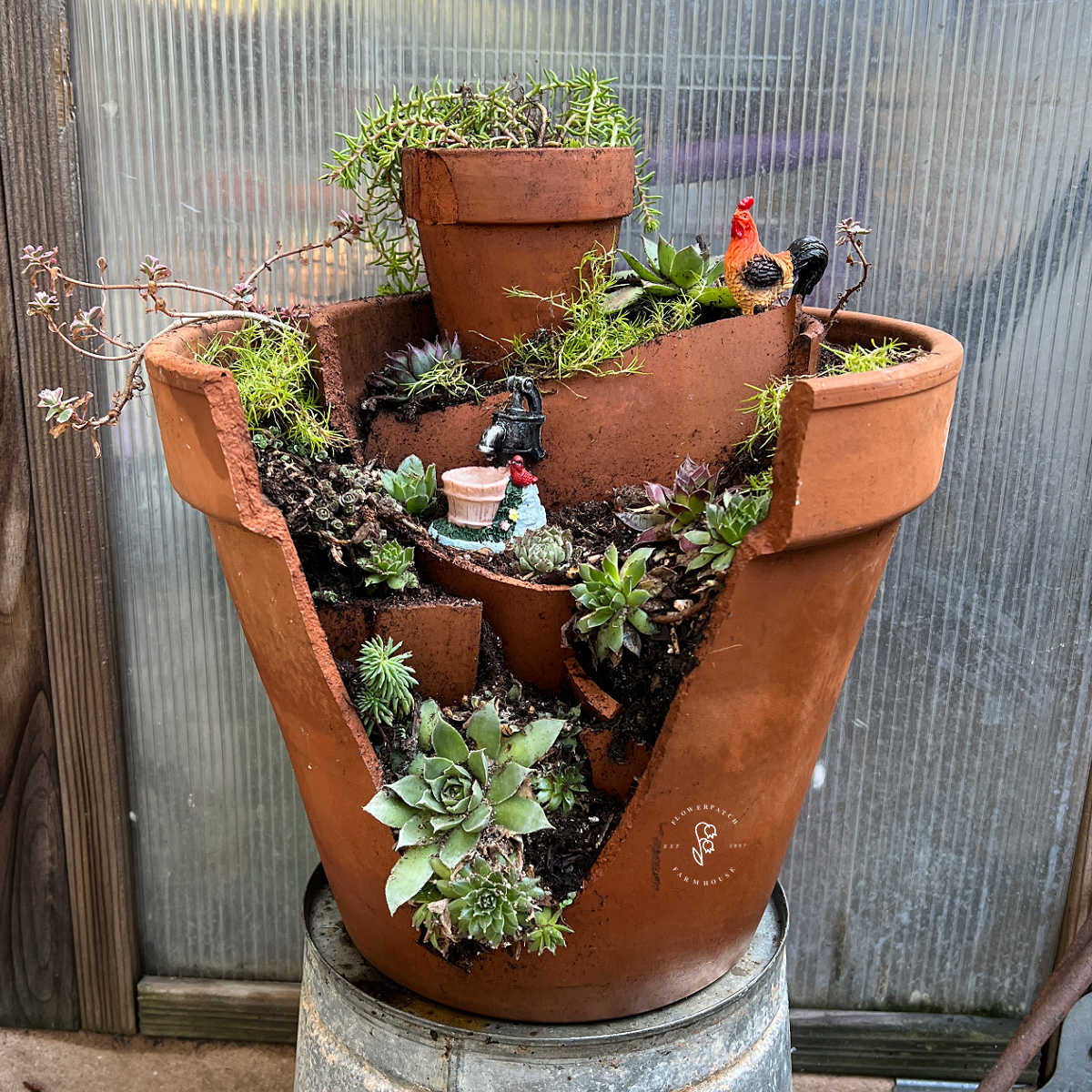 succulent fairy garden sitting on a bucket in the garden