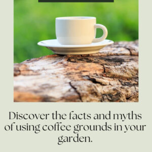 coffee cup sitting on a log in the garden, text overlay reads: Used coffee grounds in the garden. Discover the facts and myths of using coffee ground in your garden. Press here on a green button