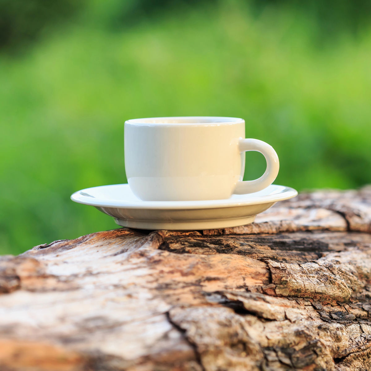 white coffee cup sitting on a log in the garden