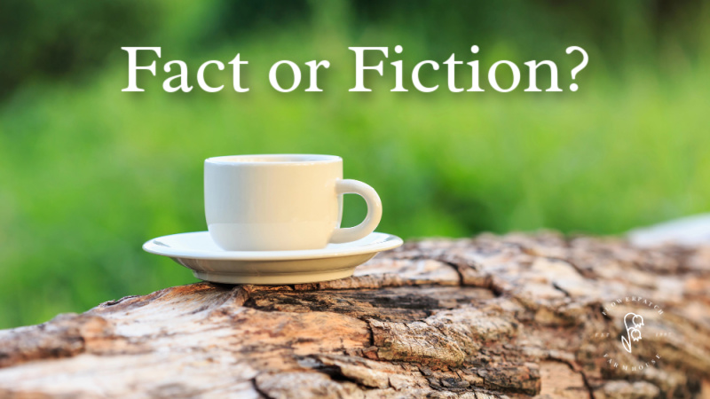 coffee cup sitting on a log with text overlay: Fact or Fiction? Flower Patch Farmhouse dot com