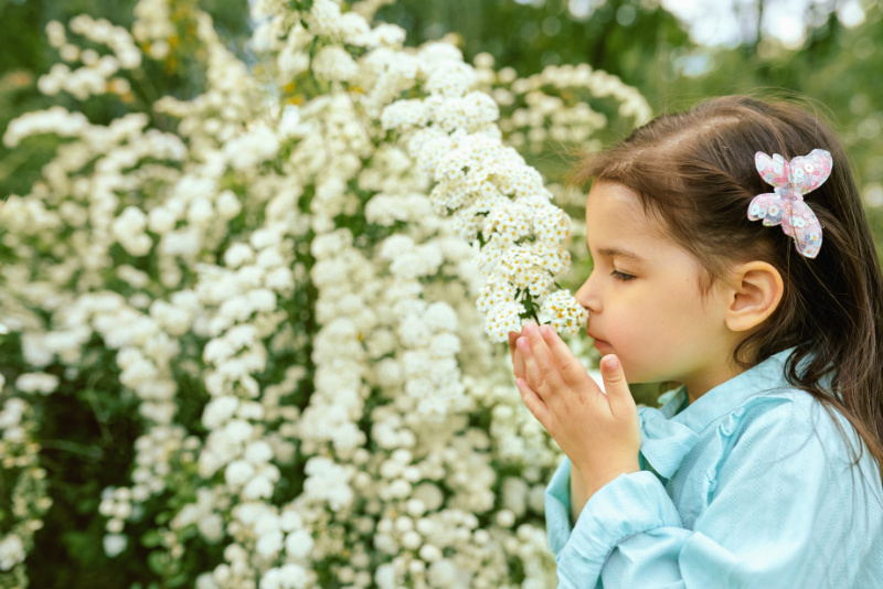girl child sniffing white flowers in a sensory garden