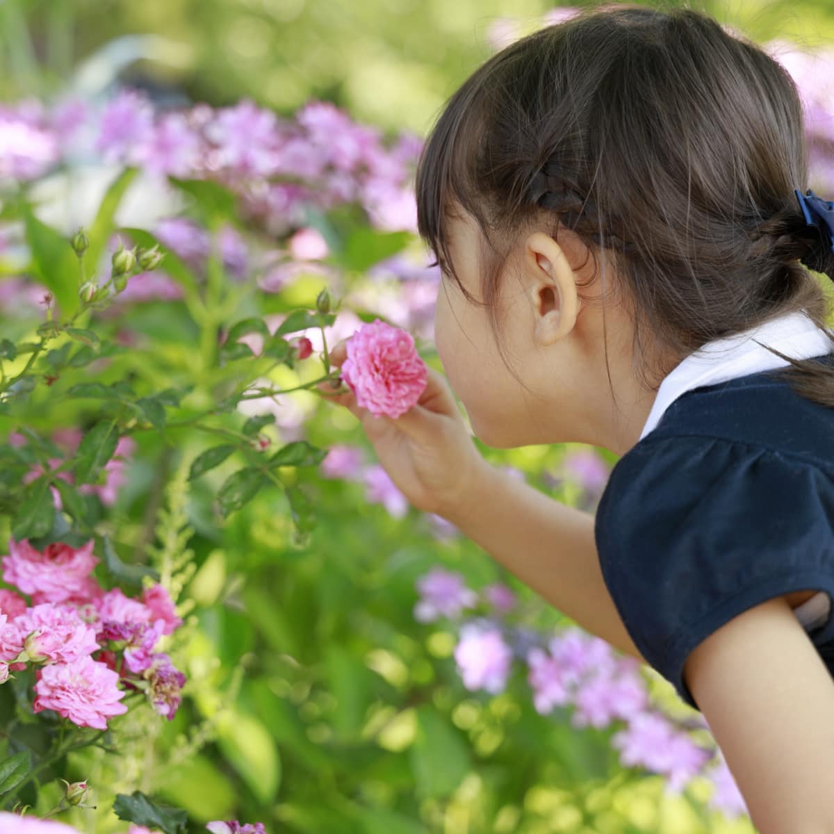 Awakening the Senses: Creating Your Own Sensory Garden