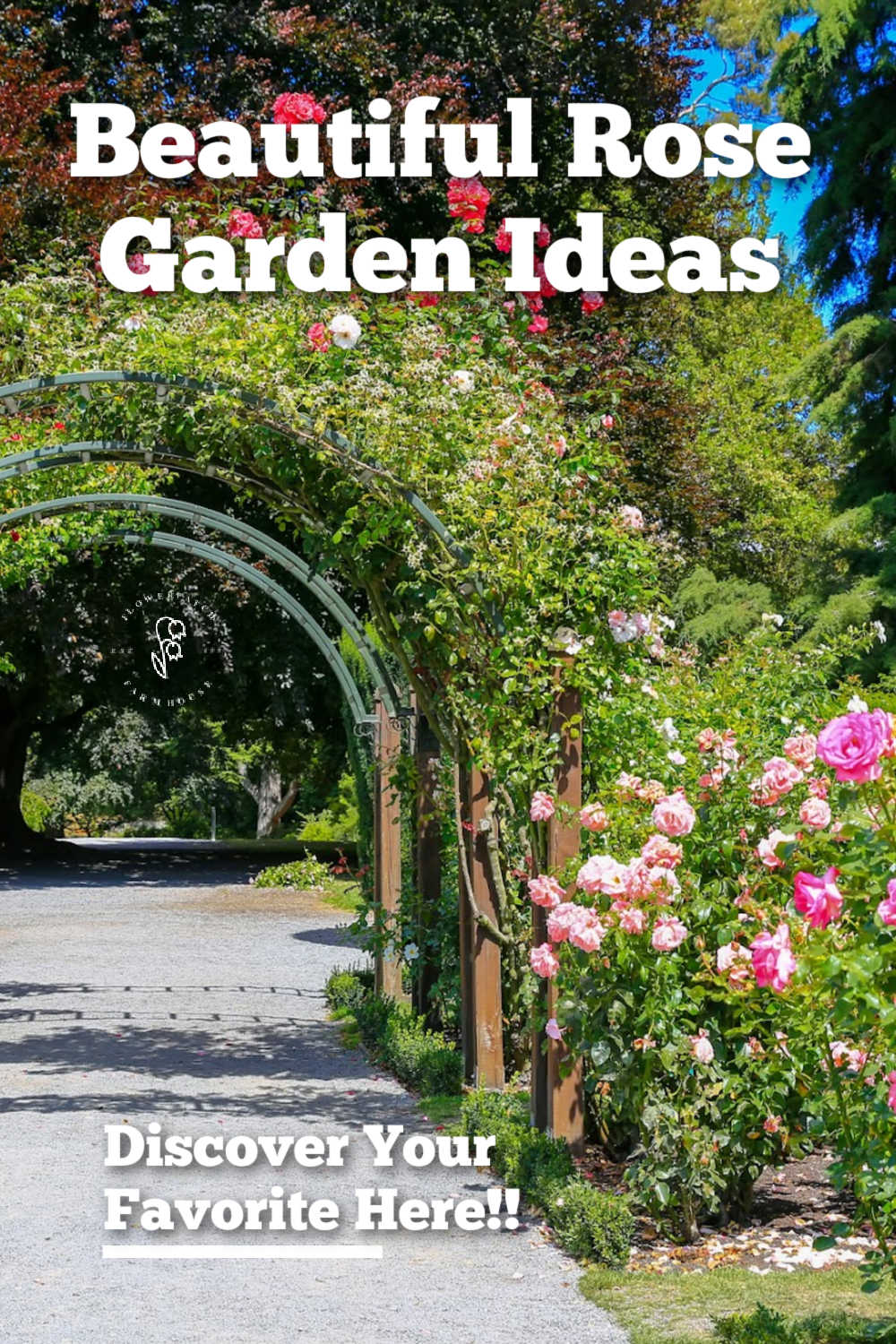 Beautiful Rose Garden Ideas to Design and Inspire - Flower Patch Farmhouse