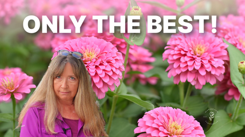 woman in front of pink zinnias, text overlay reads: only the best, flower patch farmhouse dot com
