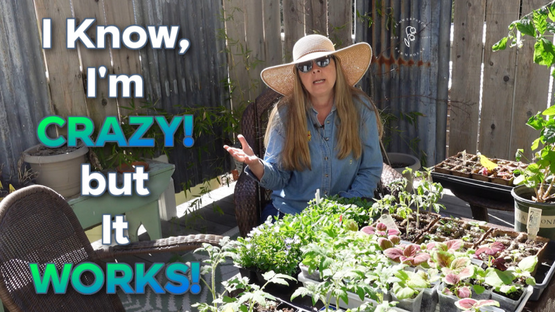 woman wearing a gardening hat with small  plants in front of her, text overlay reads: I know I'm Crazy but it Works. 