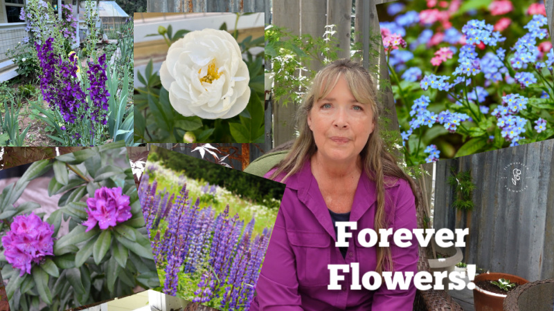 woman sitting among photos of flowers, text overlay reads Forever Flowers