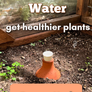 olla pot buried in soil with text overlay: Use 70 percent less water, get healthier plants, easy to use