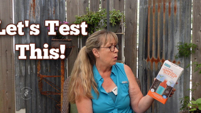 Pam of flower patch holding a terracotta olla pot, Let's Test this is the text overlay