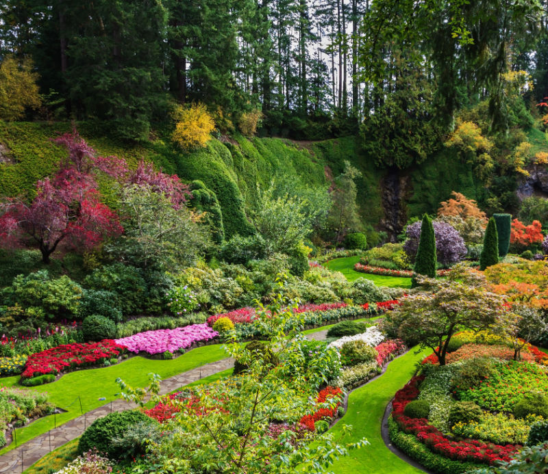Butchart Gardens victoria bc Sunken Garden