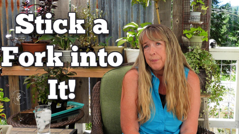 woman sitting on the porch with text overlay: Stick a Fork Into It!