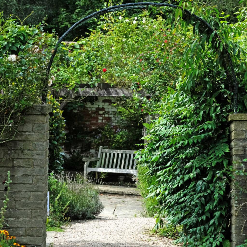 A serene garden scene featuring a white wooden bench nestled under a stone archway covered in lush green vines. The garden path, lined with lavender and other greenery, leads to the bench, creating a peaceful sitting area. Behind the bench, a weathered brick wall is partially covered by climbing plants and roses, adding to the secluded and tranquil atmosphere.