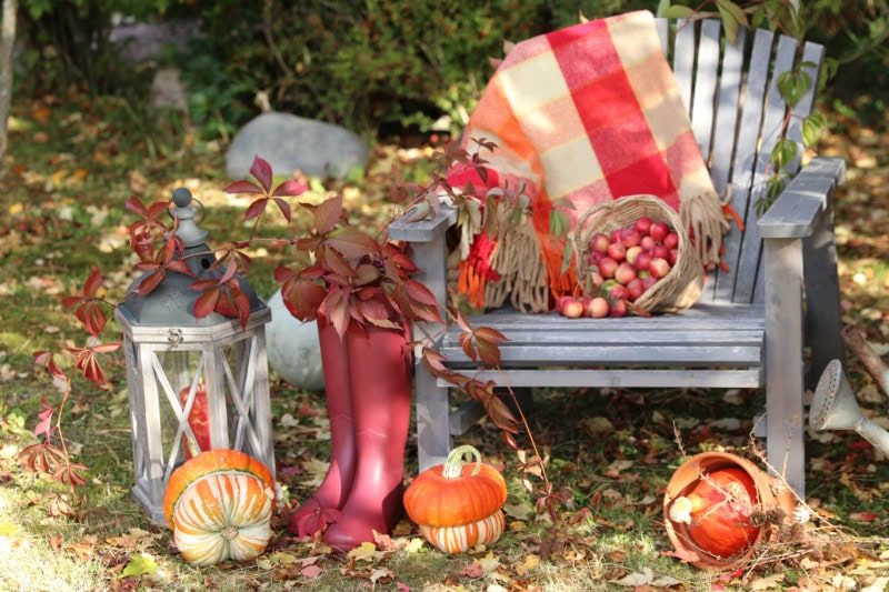A cozy fall garden scene featuring a gray wooden chair adorned with a red-and-orange plaid blanket. On the chair rests a basket filled with small red apples. Next to the chair are bright red rain boots, draped with autumn leaves, and pumpkins of various sizes and colors. A rustic lantern sits beside the boots, and an overturned pot spilling apples completes the autumnal decor. The ground is covered with fallen leaves, contributing to the warm, seasonal atmosphere.